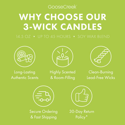 Rugrats Nickelodeon 3-Wick Candle